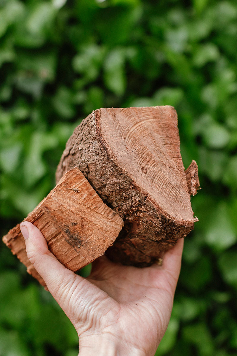 Pōhutukawa – Splits or Chunks